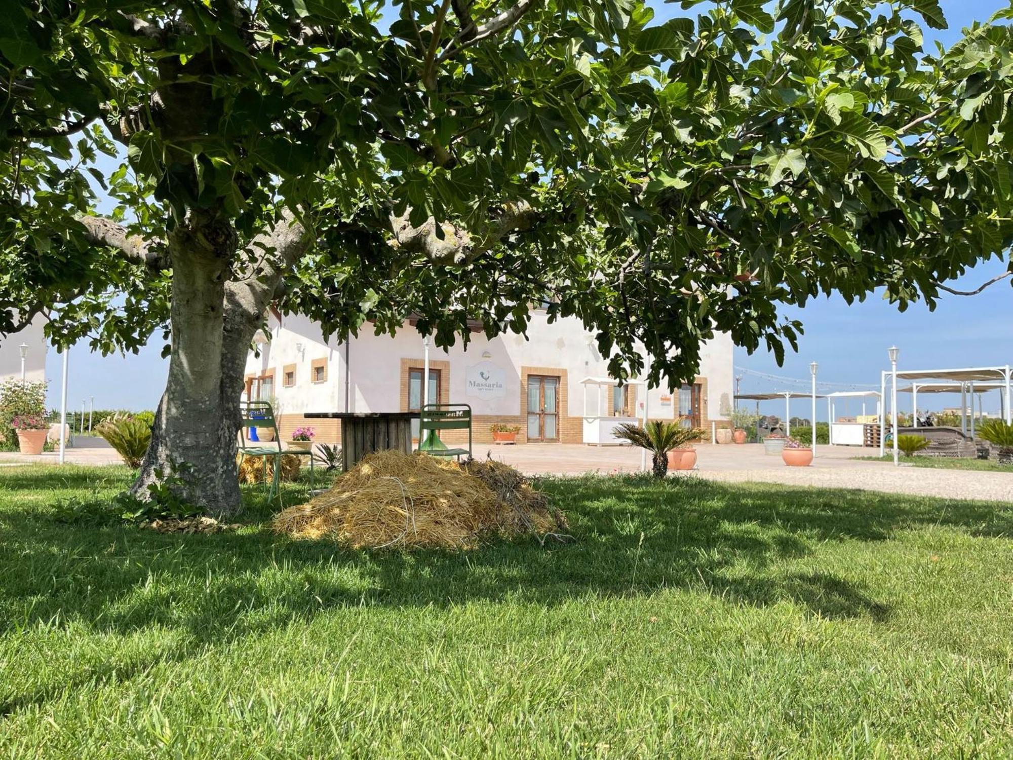 La Massaria Agriresort Orta Nova Eksteriør billede