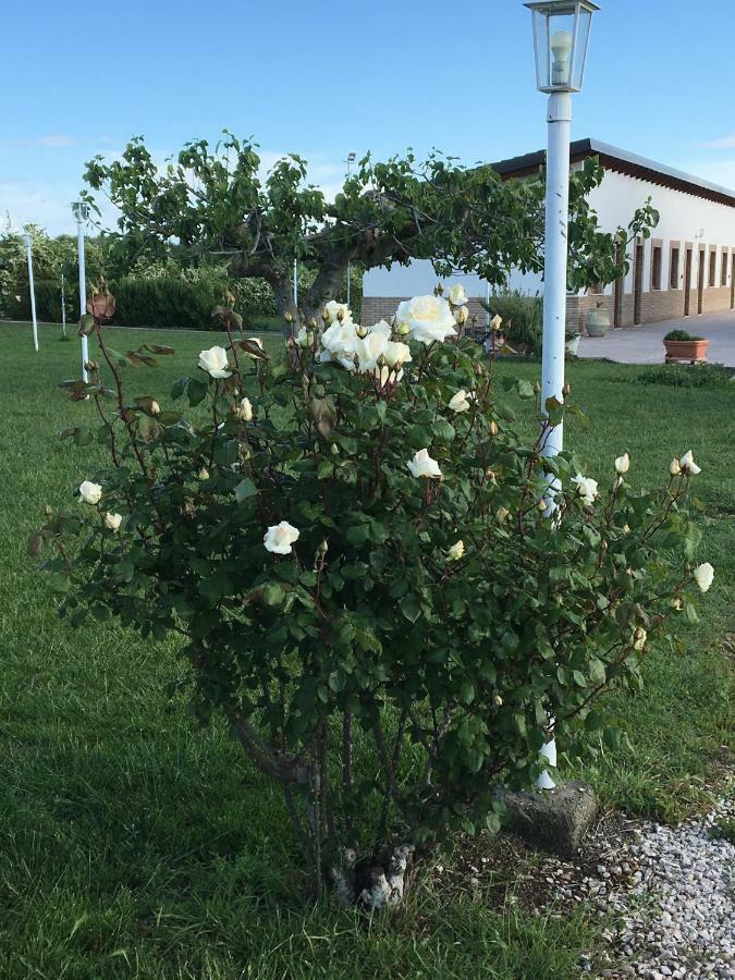 La Massaria Agriresort Orta Nova Eksteriør billede